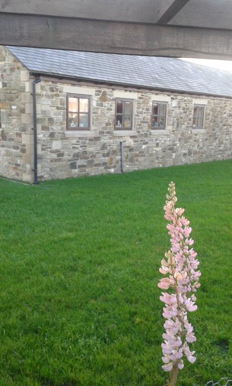 Joined-Up Holidays Bed & Breakfast Hamsterley  Exterior photo